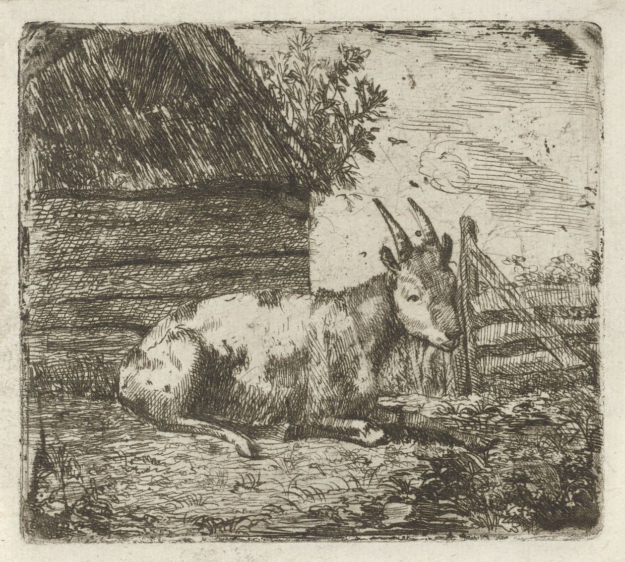 Ziege bei einer Scheune von Jan Kobell (II)