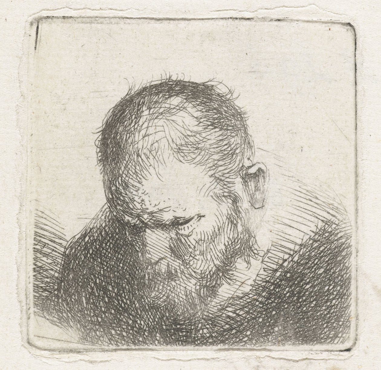 Mann mit Bart von Jan Lievens (possibly)