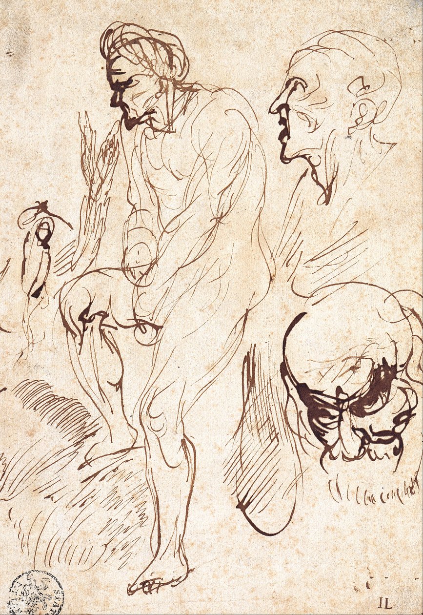 Studien nach dem Modell von Jan Lievens