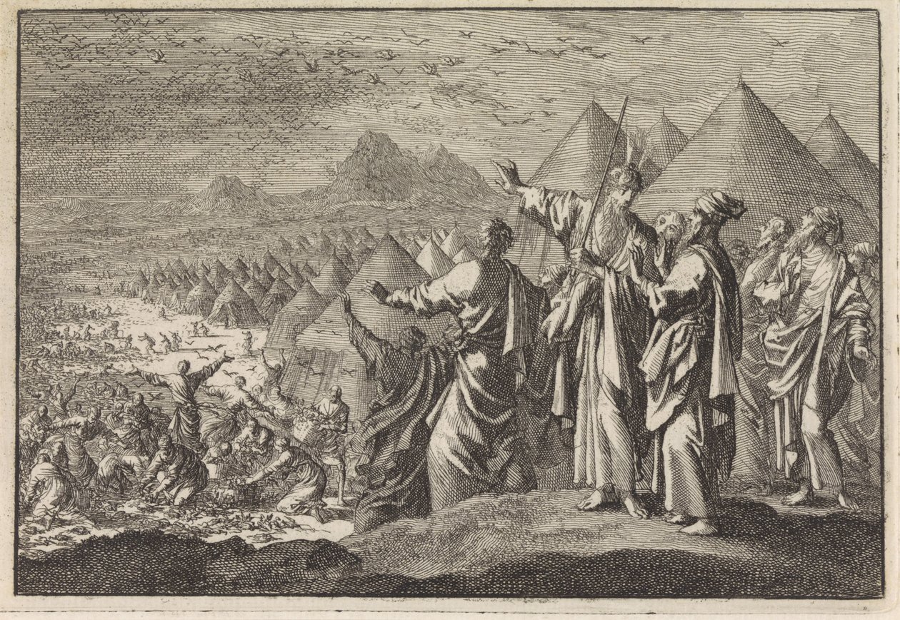Wachteln in der Wüste von Jan Luyken