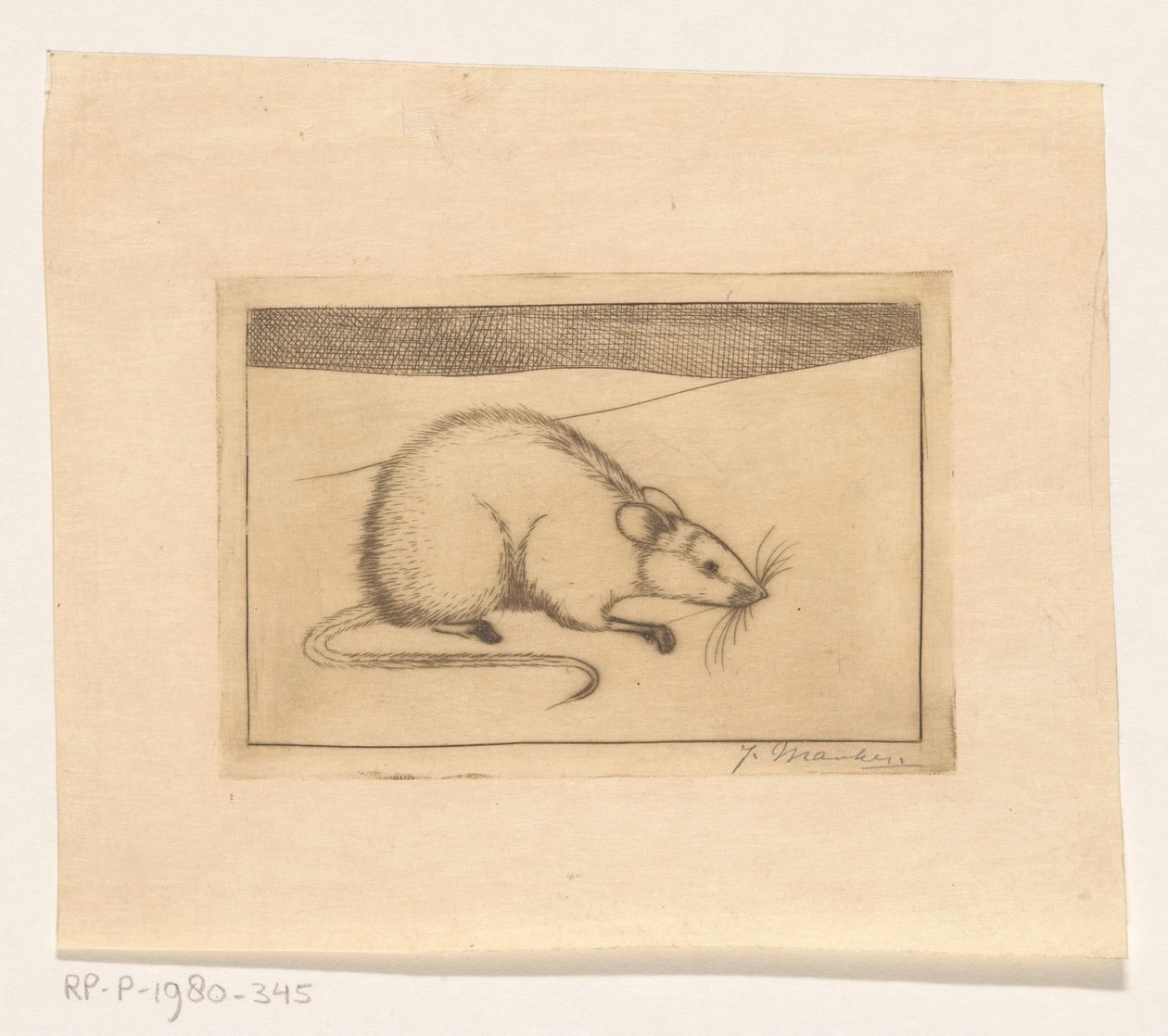 Maus von Jan Mankes (signed by artist)