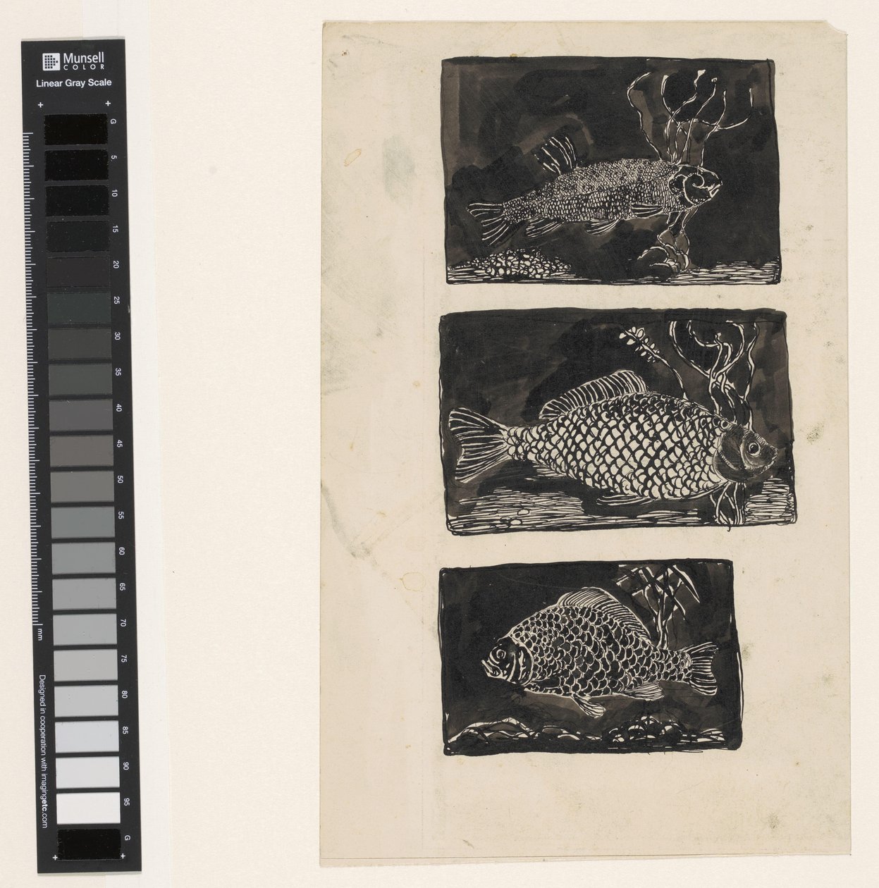 Drei Fische von Jan Mankes
