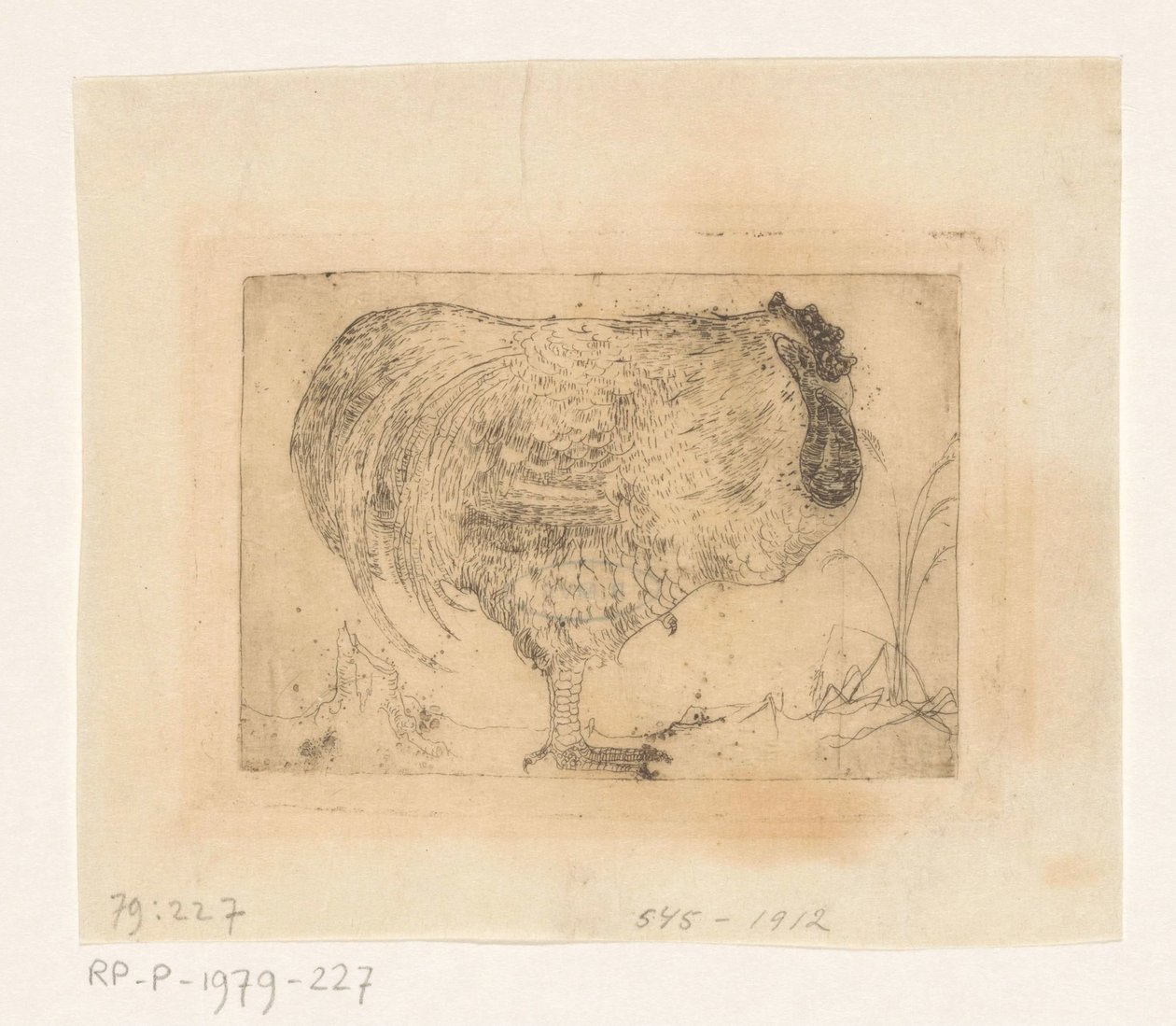 Zusammengekauerter Hahn von Jan Mankes