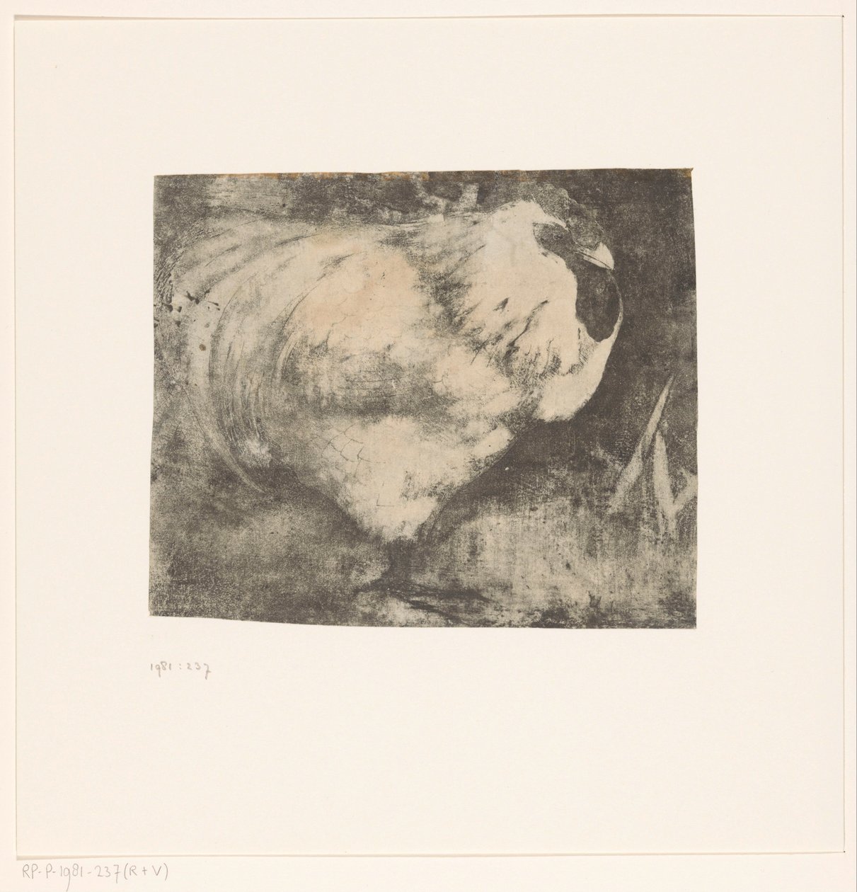 Zusammengekauerter Hahn von Jan Mankes