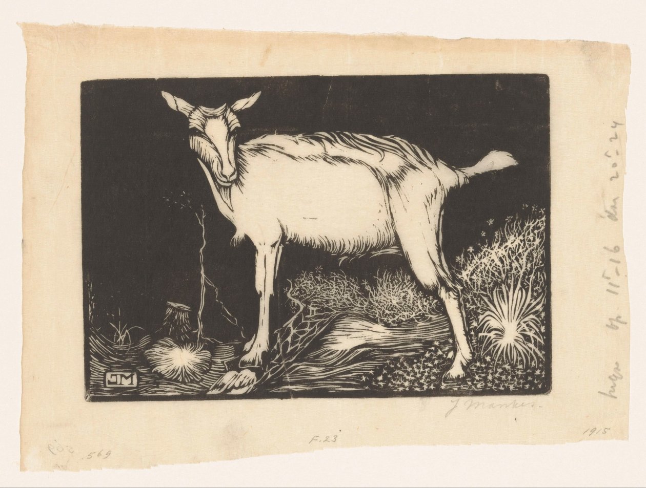 Weiße Ziege von Jan Mankes