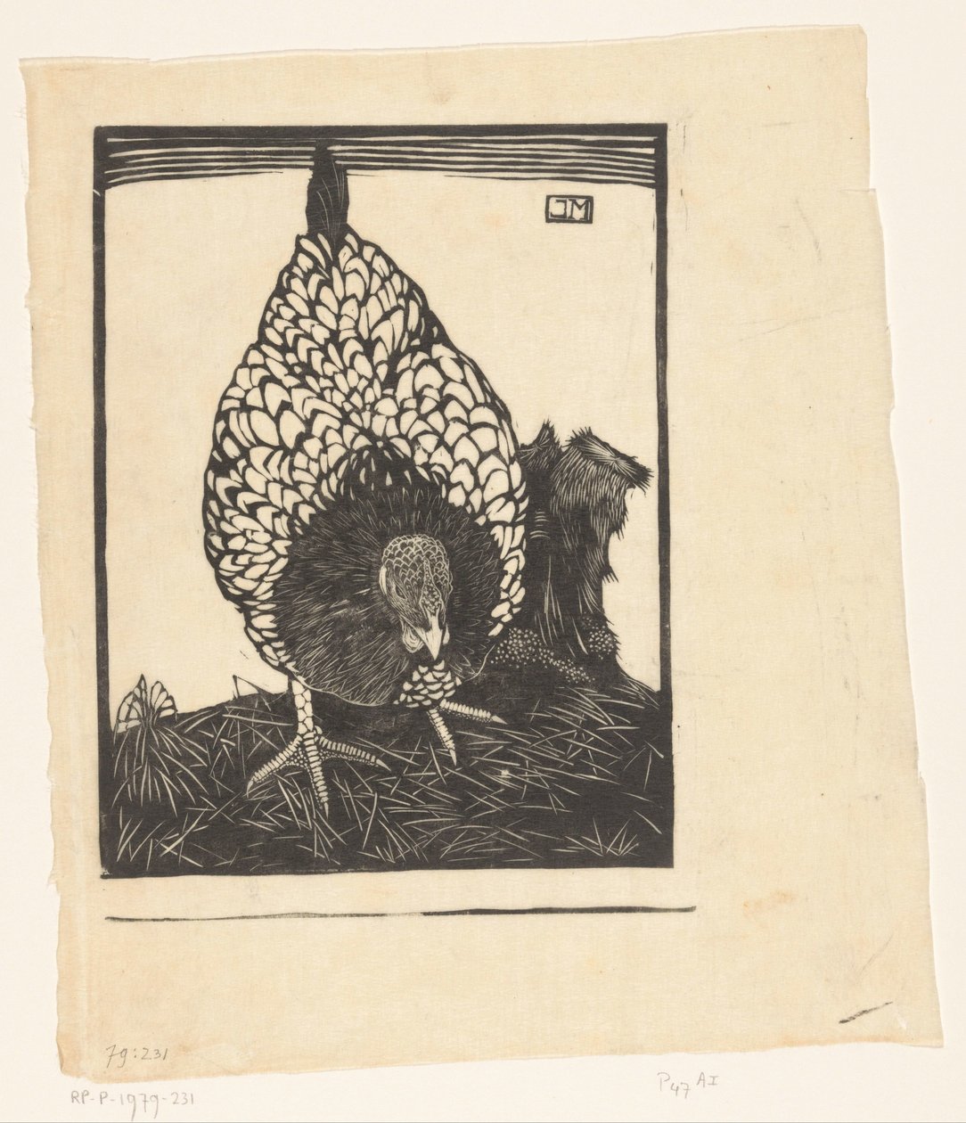 Silberwyandotte von Jan Mankes