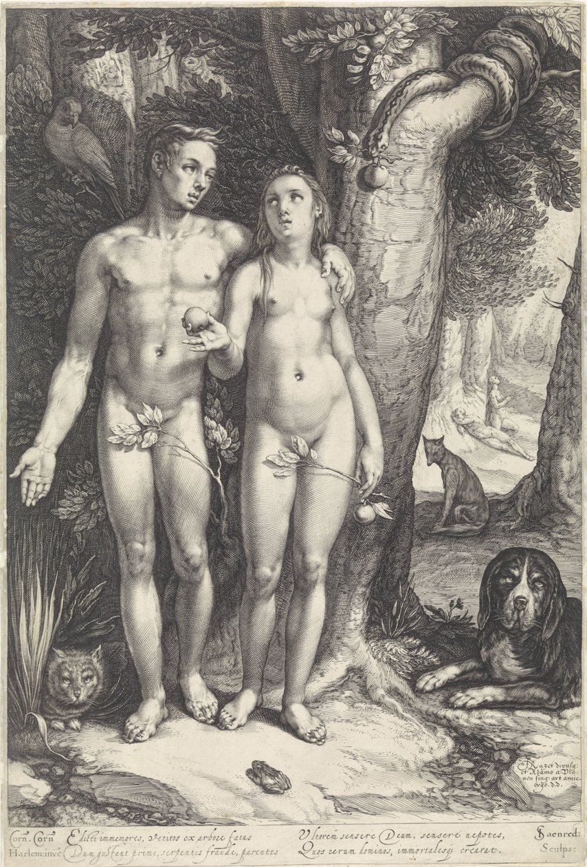 Sündenfall von Jan Saenredam