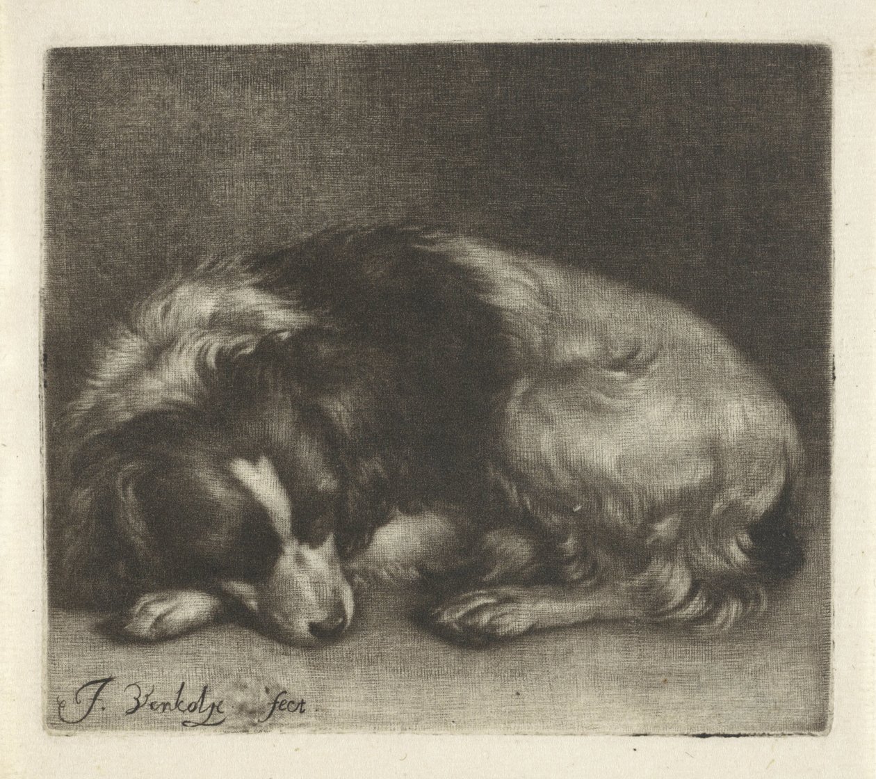 Schlafender Hund, möglicherweise ein Spaniel von Jan Verkolje (I)