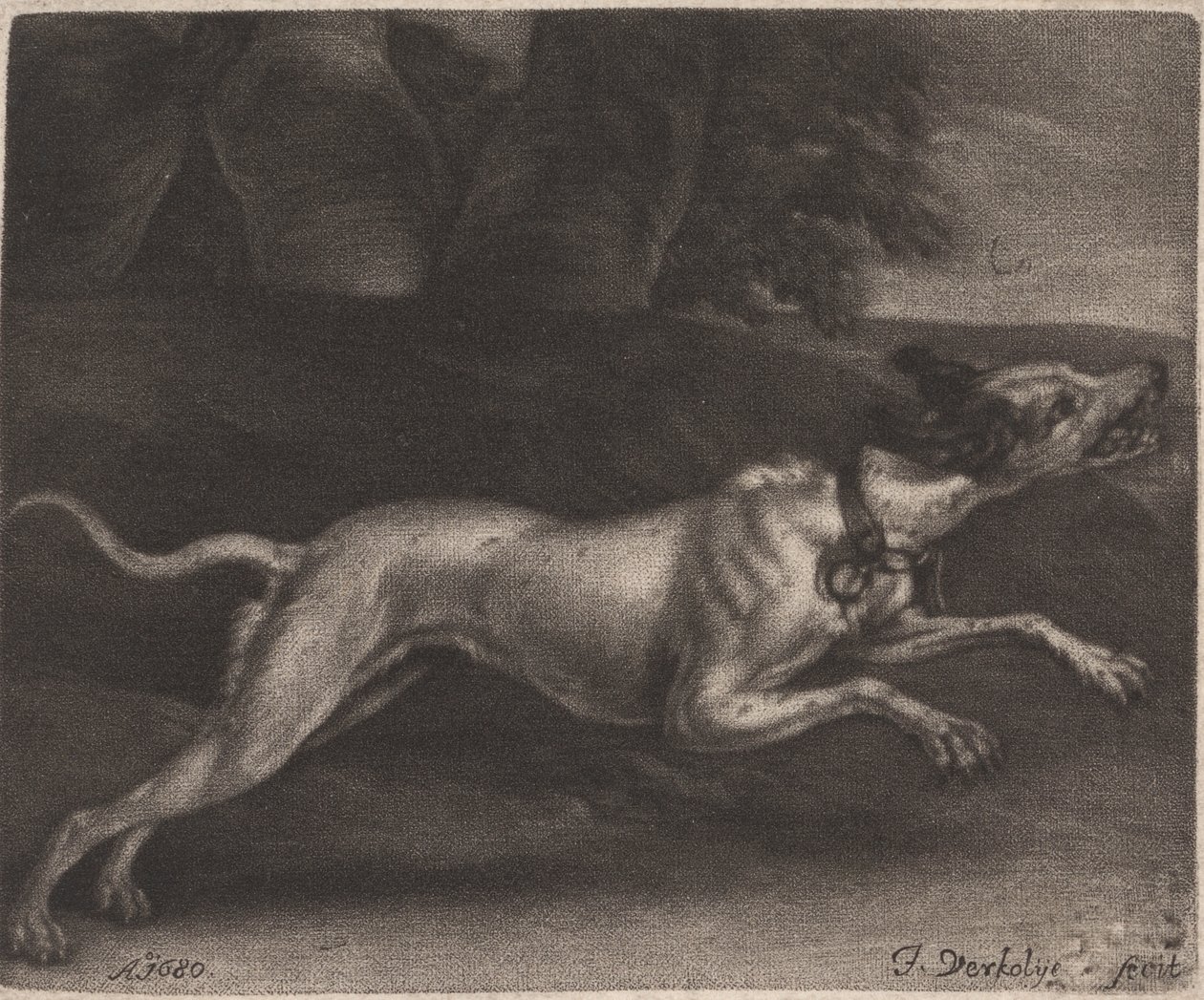 Ein laufender Hund von Jan Verkolje