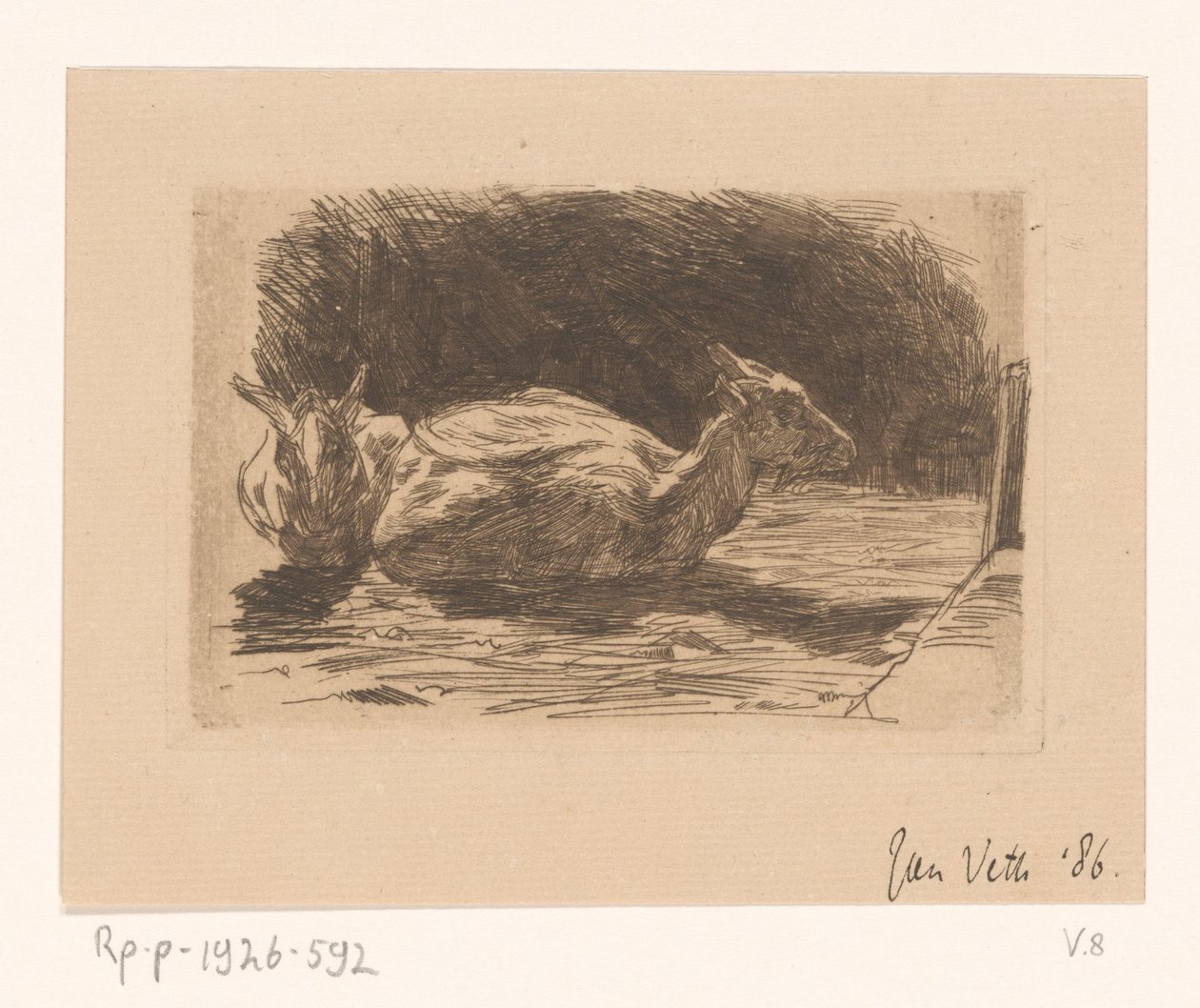 Zwei Ziegen von Jan Veth (signed by artist)