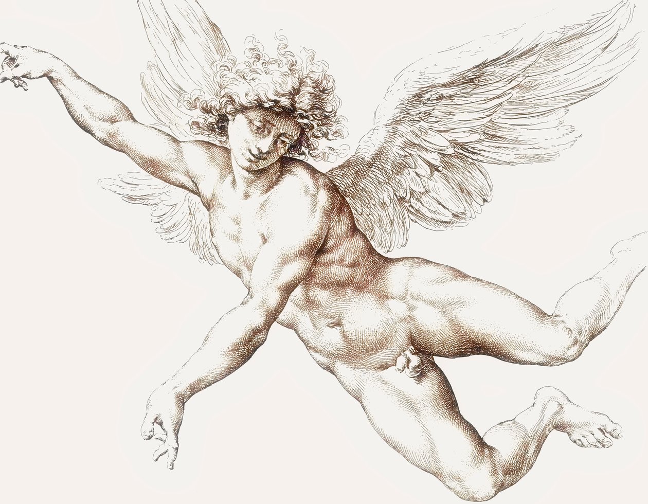 Nackter männlicher fliegender Engel von Jan de Bisschop
