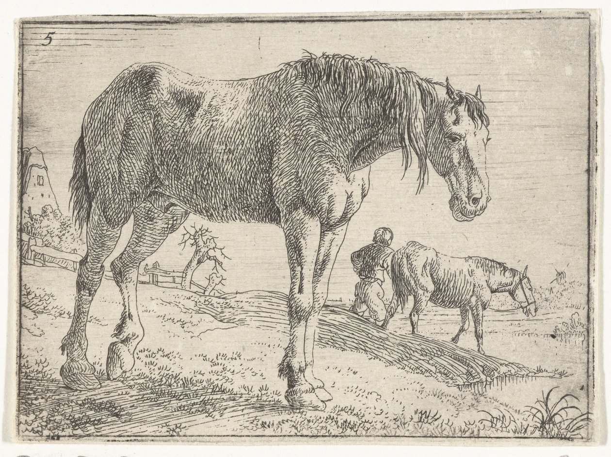 Stehendes Pferd (Landschaften mit Pferden, Serientitel) von Jan van Aken