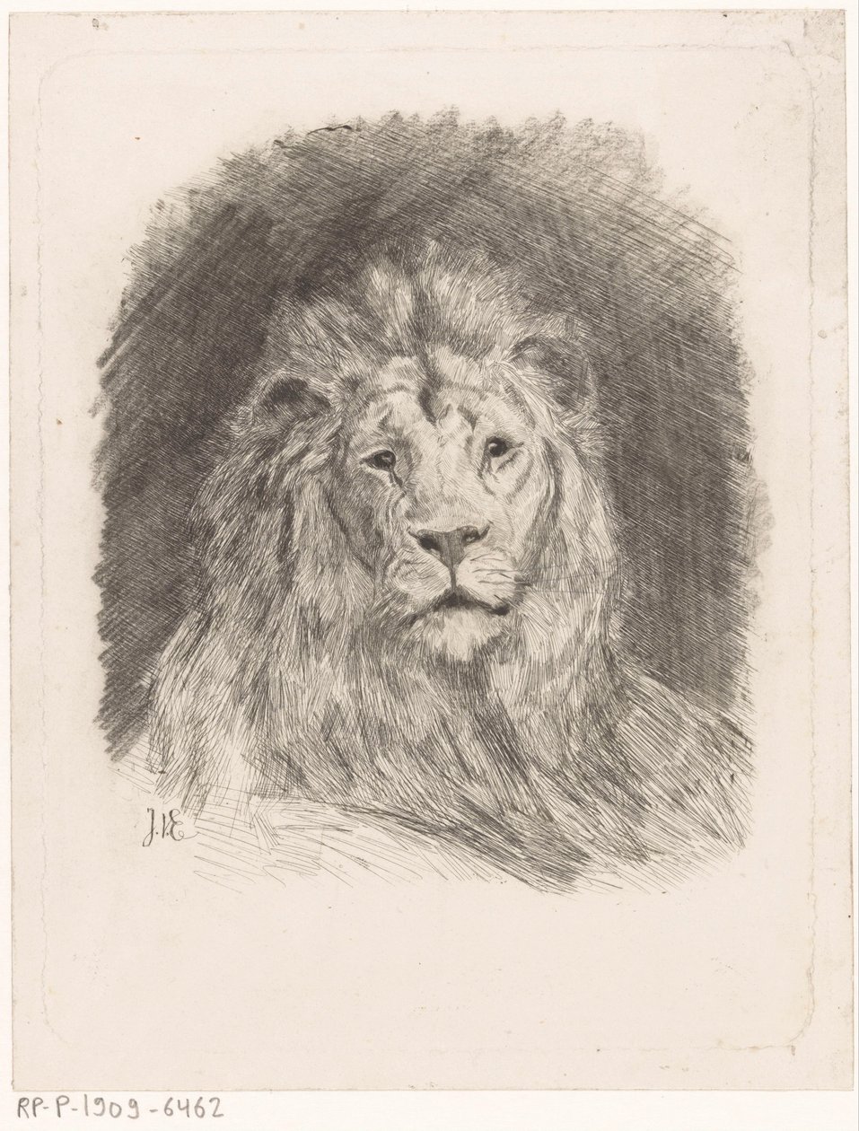 Kopf eines Löwen von Jan van Essen