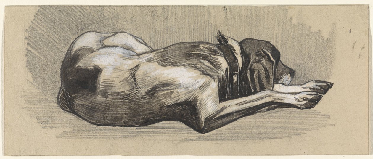 Schlafender Hund, nach rechts von Jan van Essen