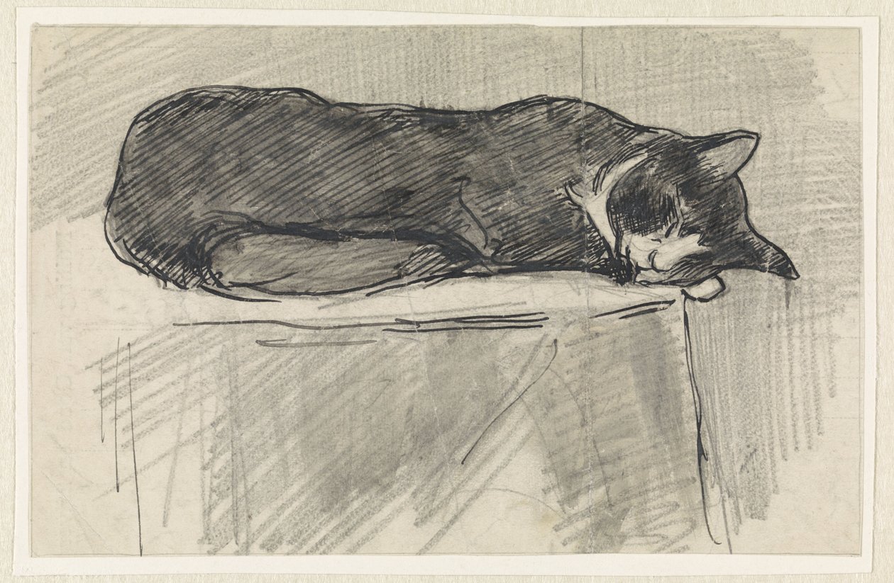 Schlafende Katze von Jan van Essen