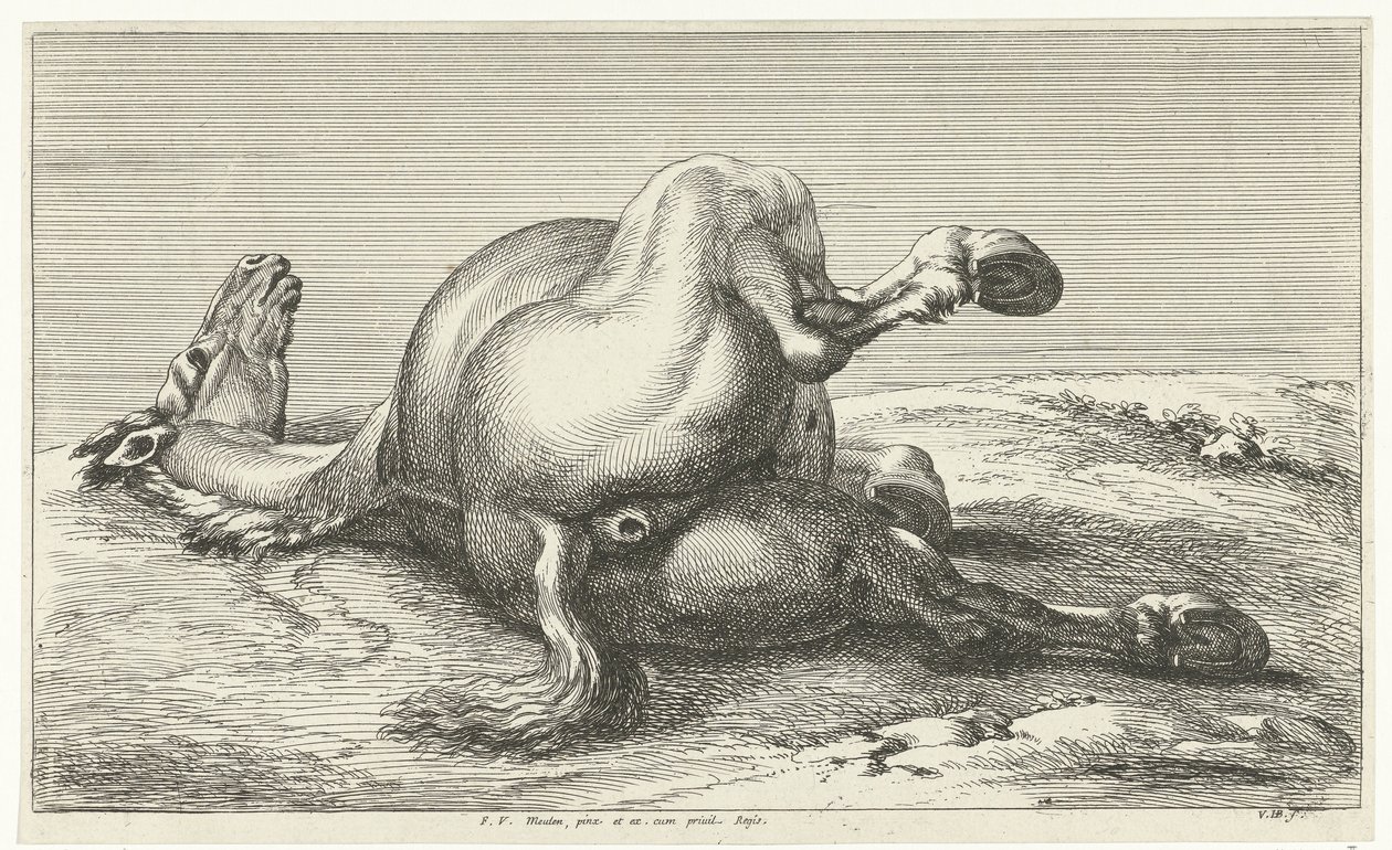 Gefallenes Pferd von Jan van Huchtenburg