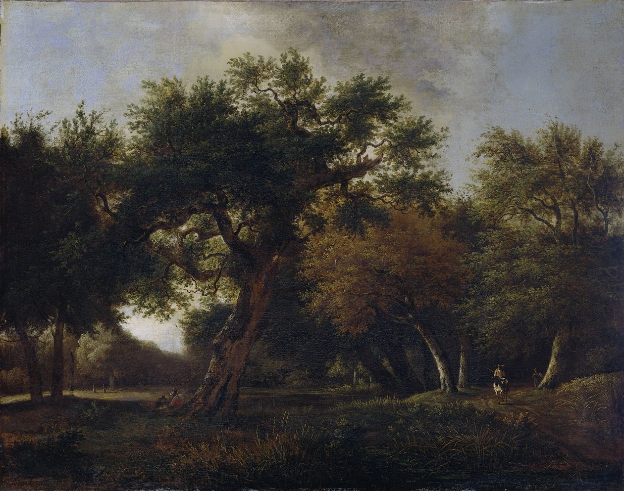 Ansicht im Wald von Jan van  Kessel