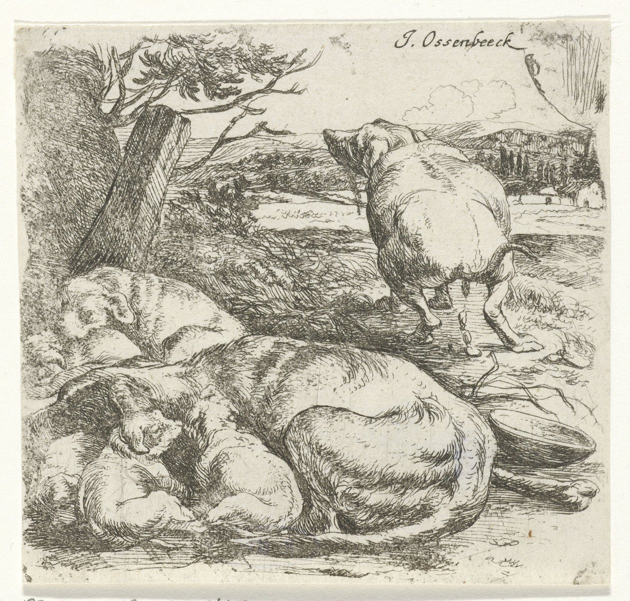Hündin mit Welpen von Jan van Ossenbeeck