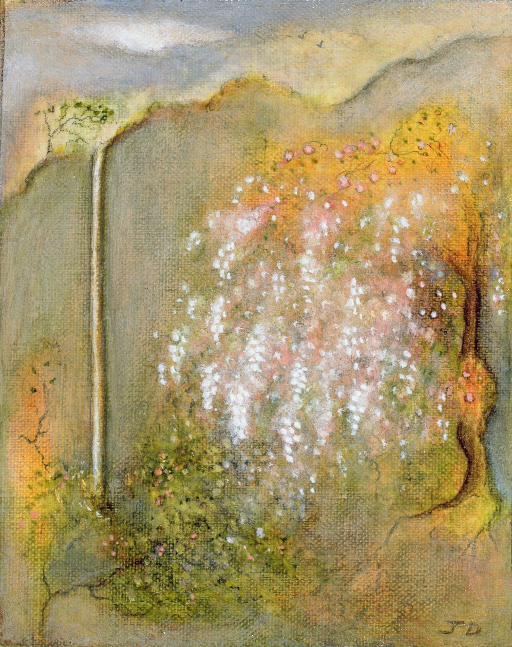 Weiße Wisteria, 2001 von Jane Deakin