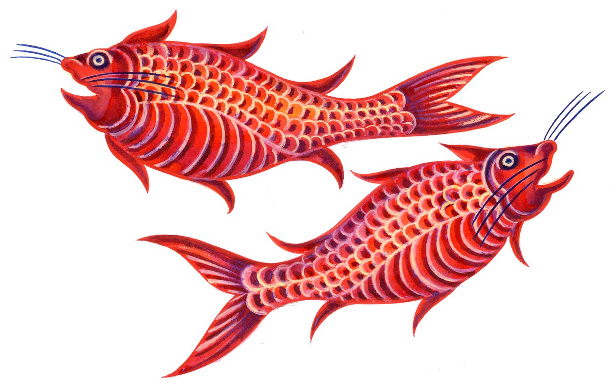 Fisch Fische von Jane Tattersfield