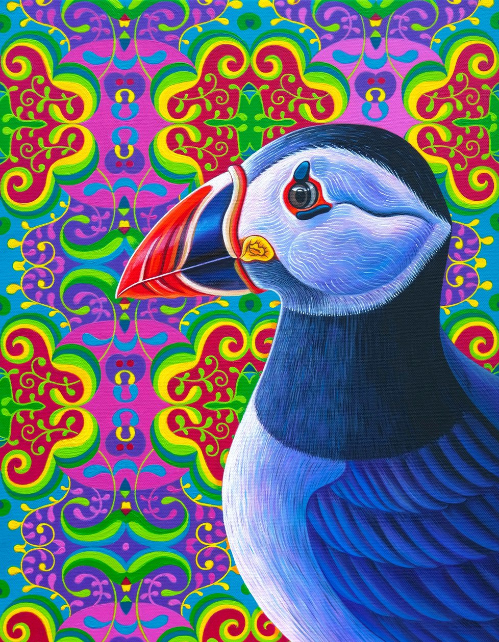 Papageitaucher, 2018 von Jane Tattersfield