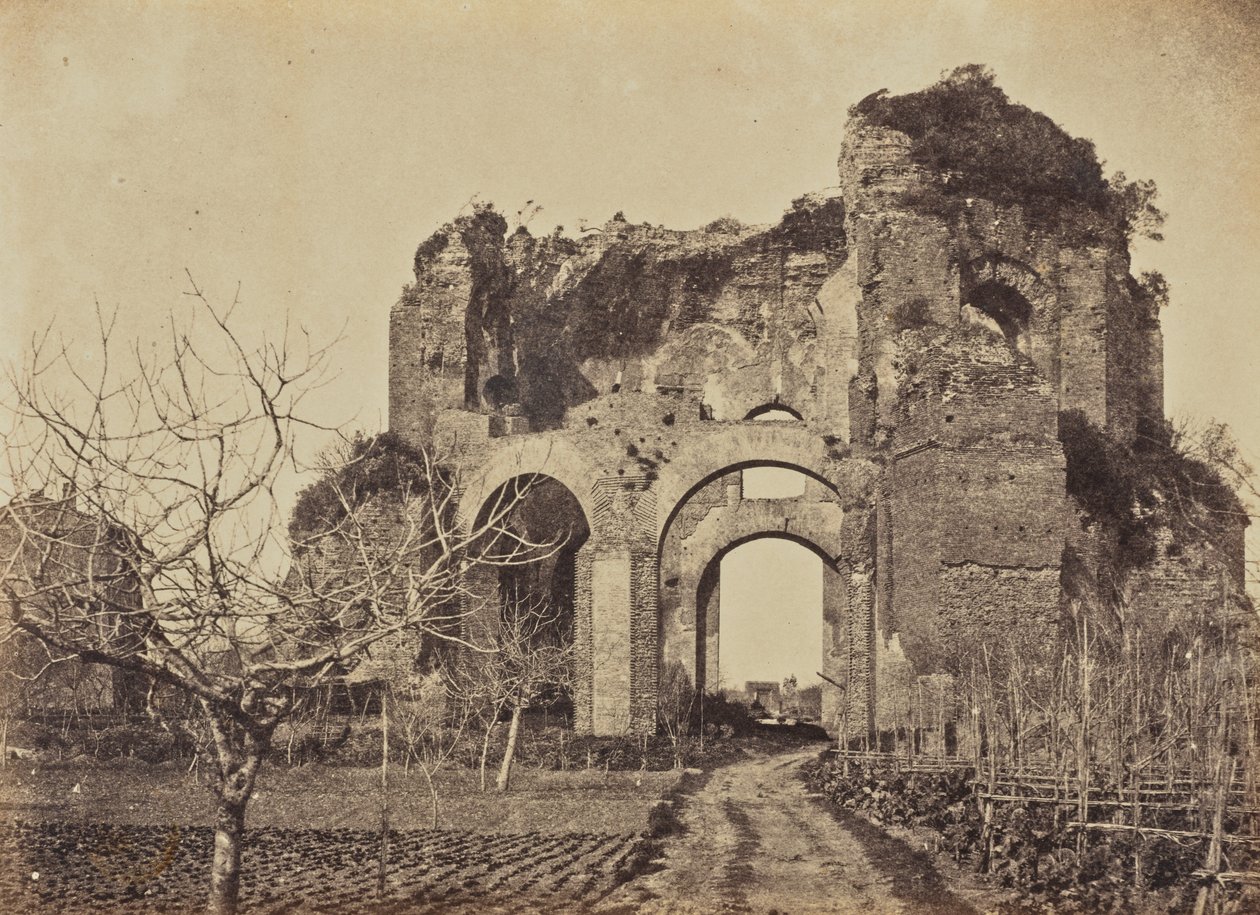 Tempel der Minerva Medica, Rom von Jane Martha St. John