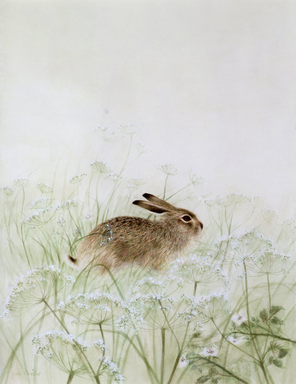 Kaninchen von Jane Neville