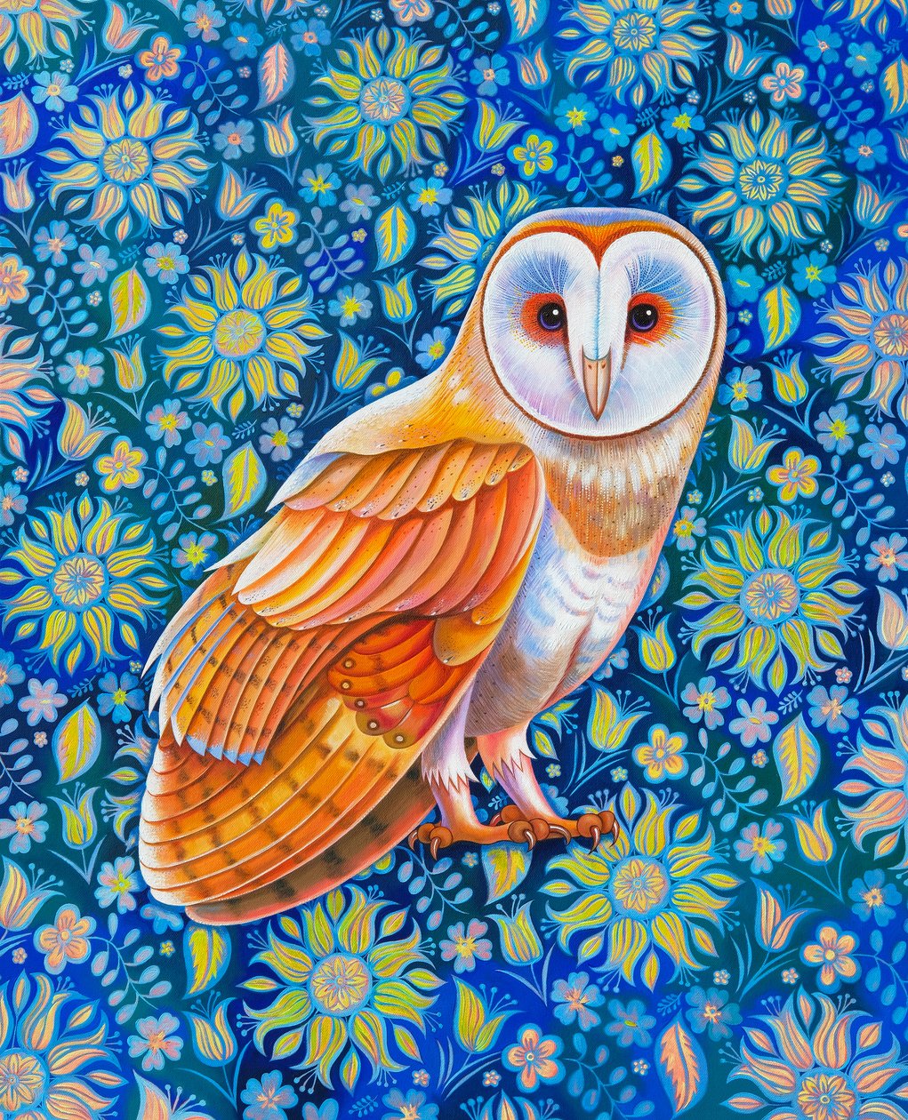 Schleiereule von Jane Tattersfield