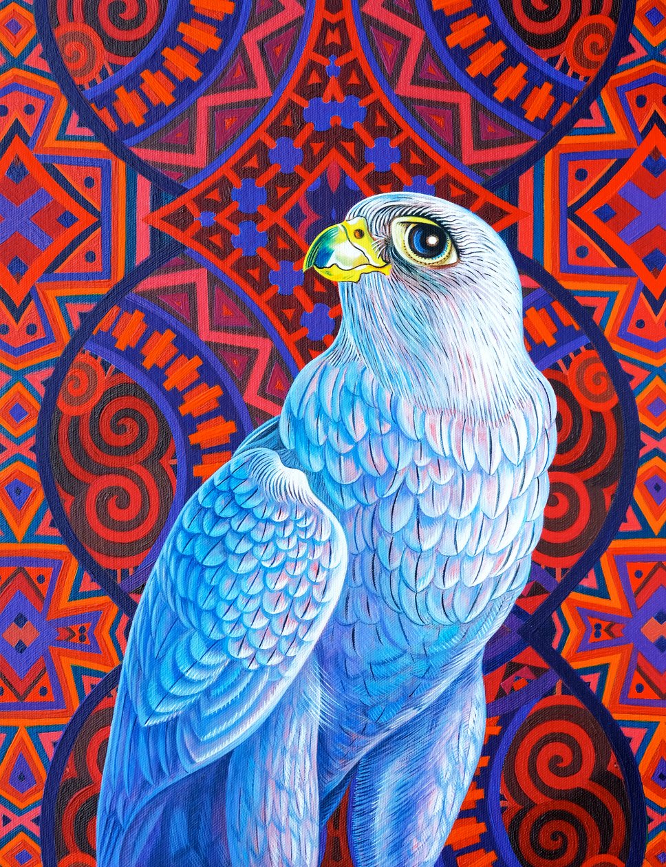 Grauer Falke, 2017 von Jane Tattersfield