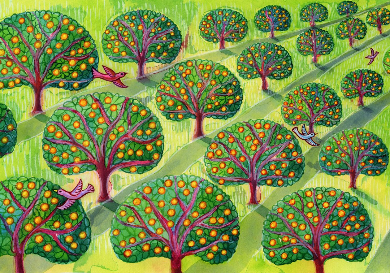Obstgarten von Jane Tattersfield