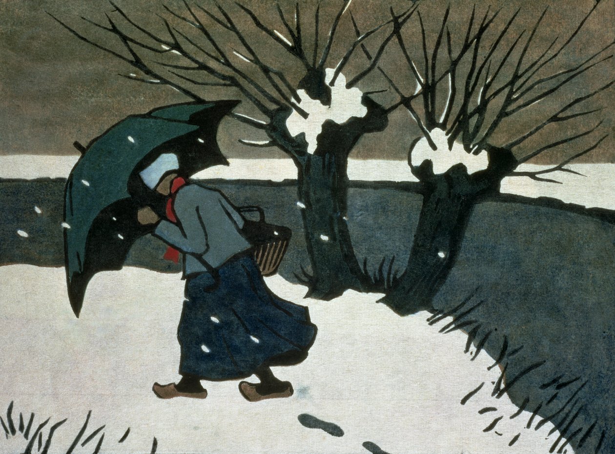 Der Schneesturm von Janet Fisher