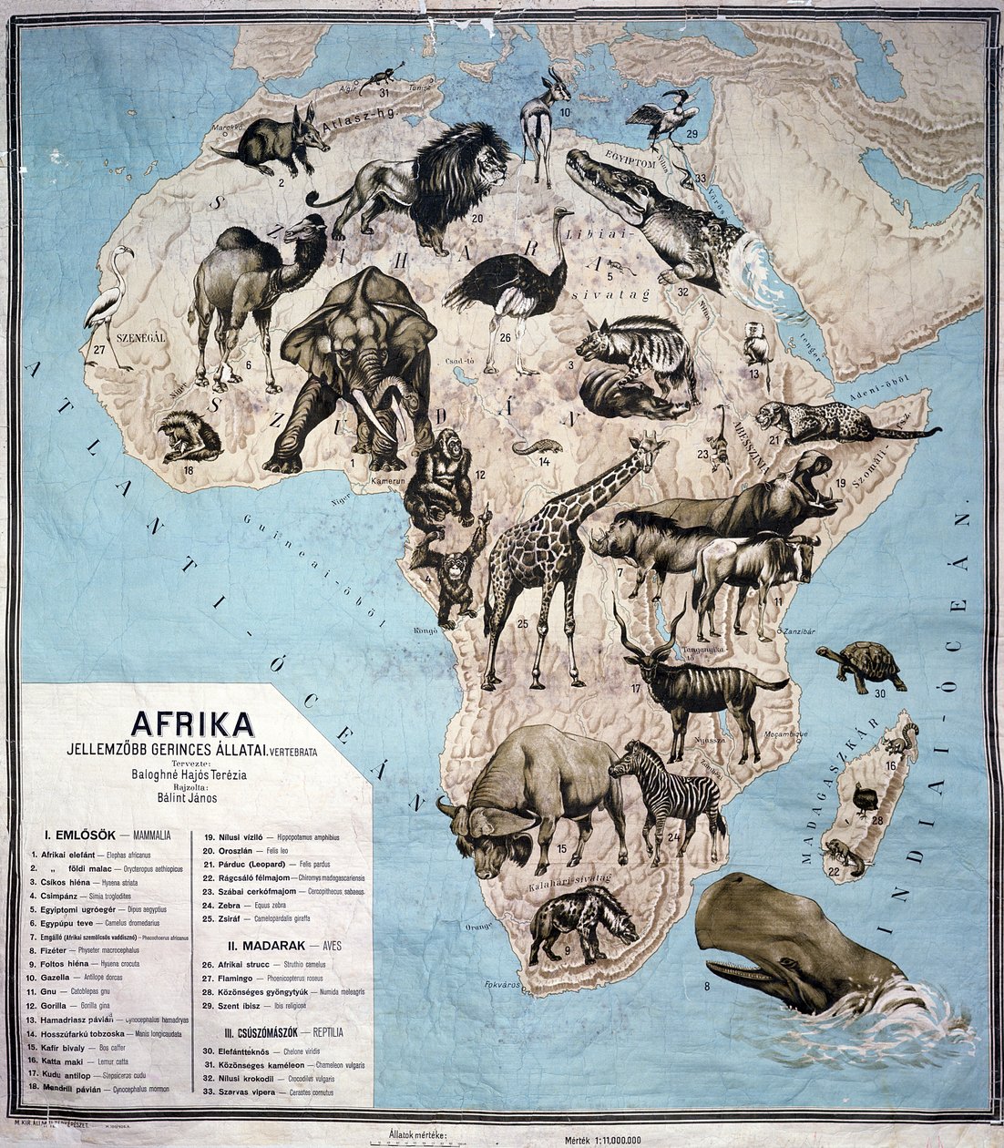 Karte der Tiere in Afrika von Janos Balint
