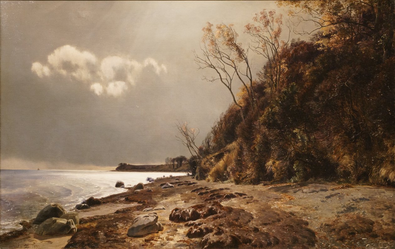 Moesgård Strand von Janus La Cour