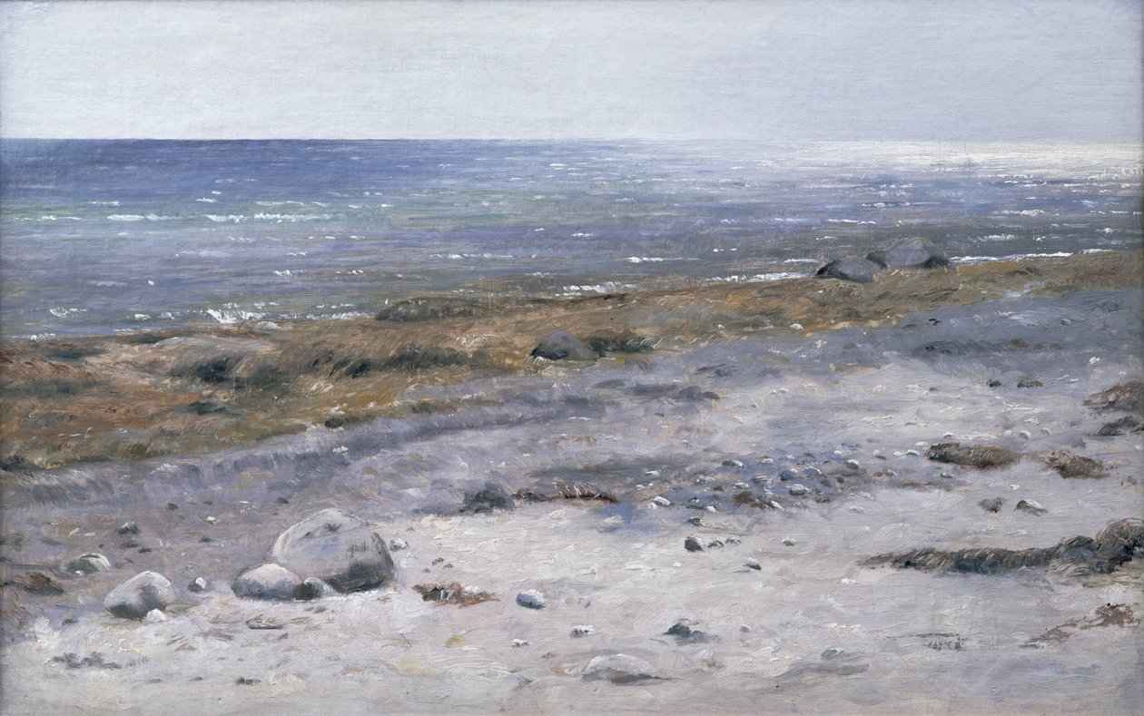 Der Strand, Mols von Janus La Cour