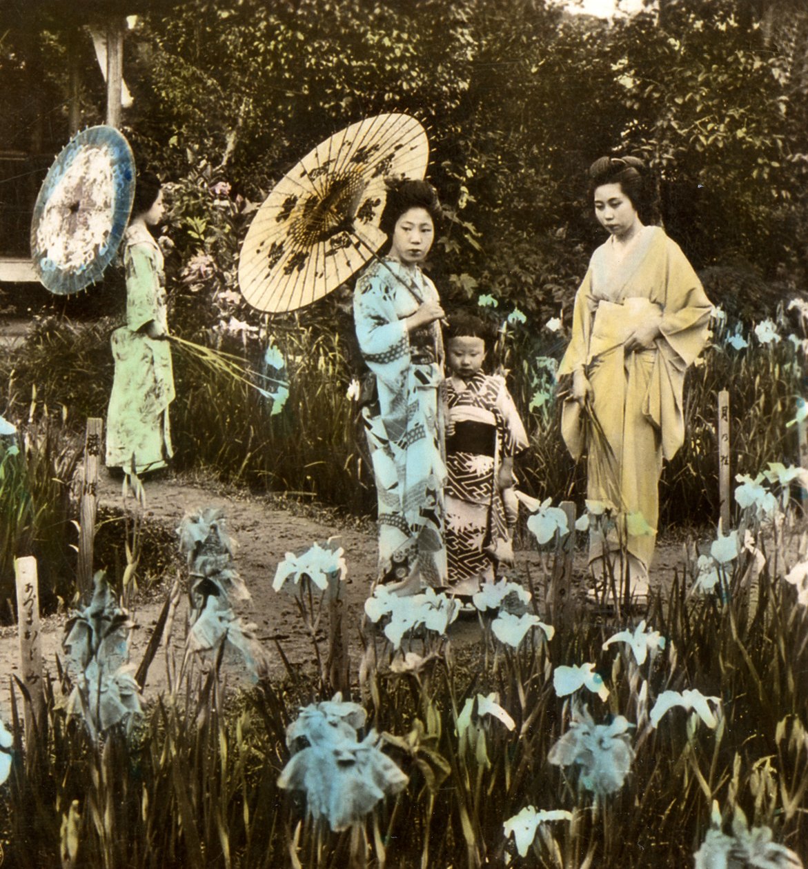 Ein Spaziergang im Irisgarten, um 1900 von Japanese Photographer