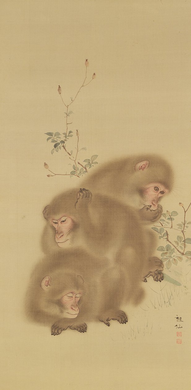 Pavianfamilie von Japanese School
