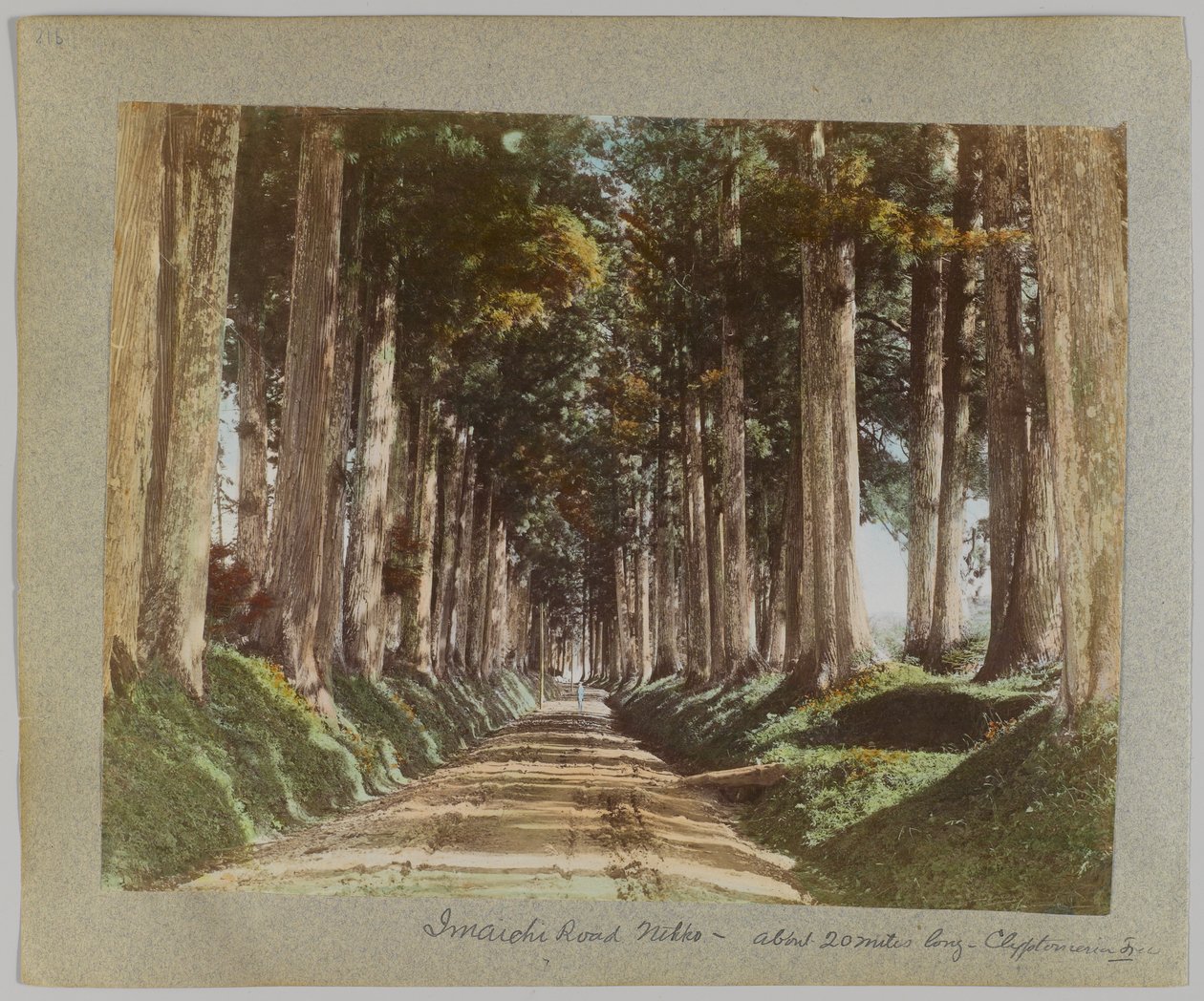 Imaichi-Straße, Nikko, Japan von Japanese Photographer