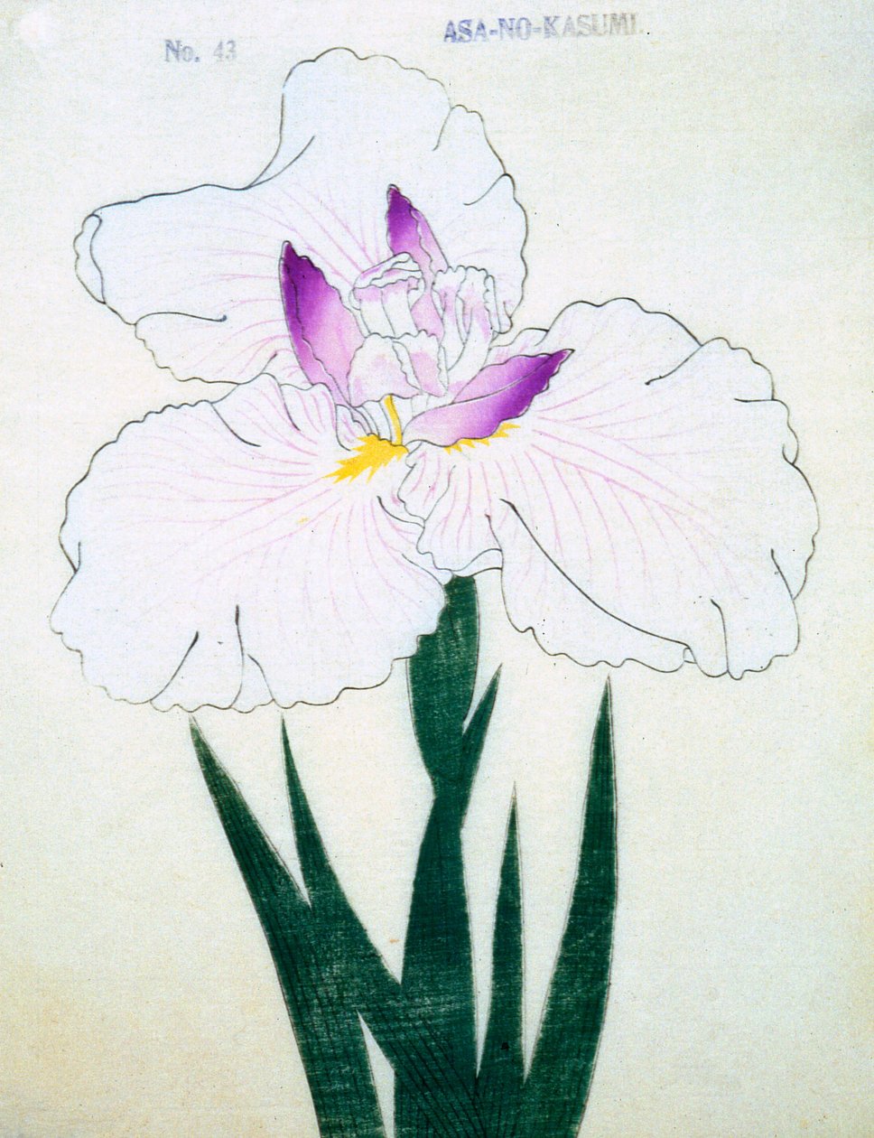 Asa-no.-Kasumi, Nr. 43, 1898 von Japanese School