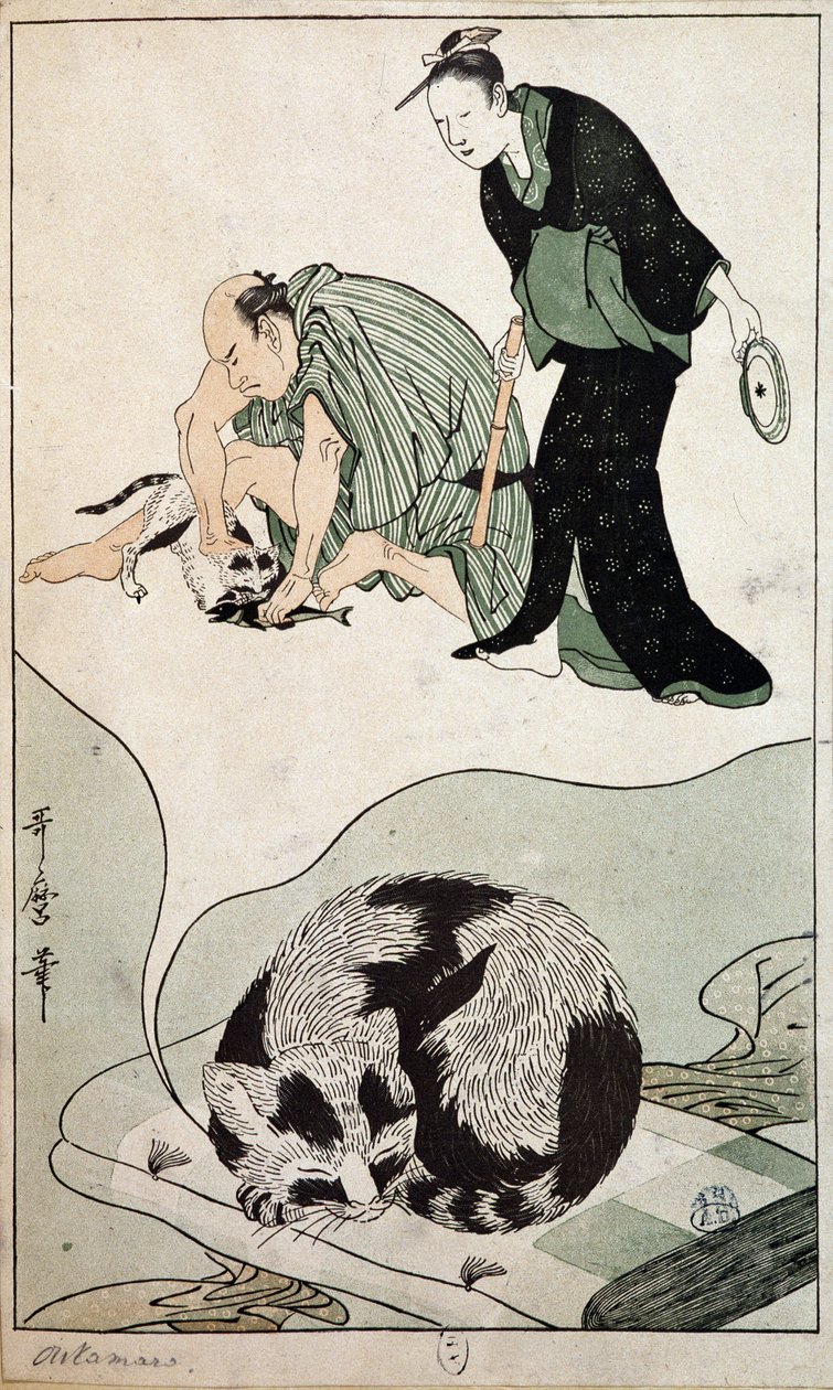Träumende Katze - Japan von Japanese School