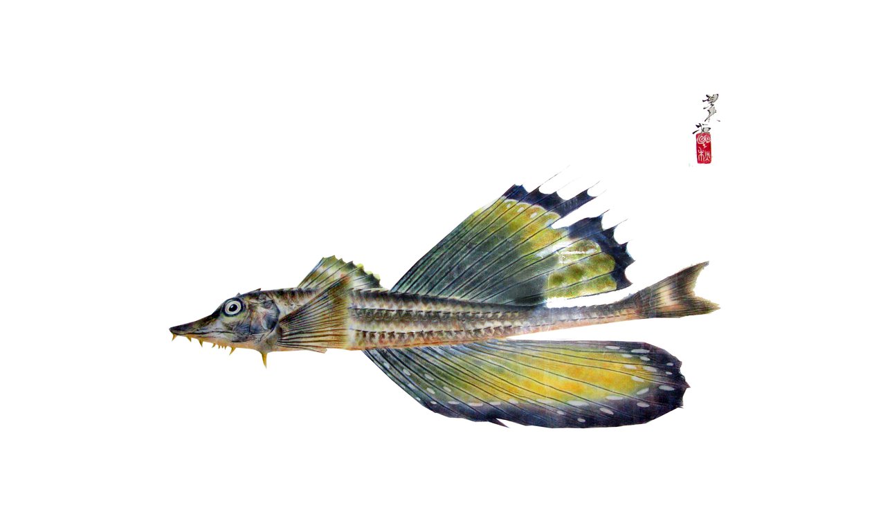 Gyotaku von Japanese School