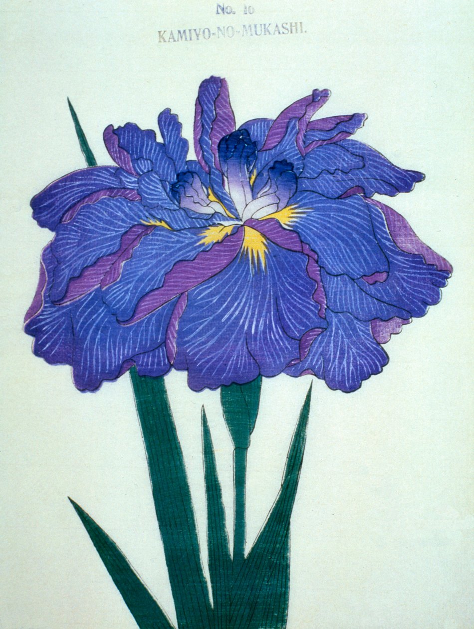 Kamiyo-no.-Mukashi, Nr. 16, 1898 von Japanese School