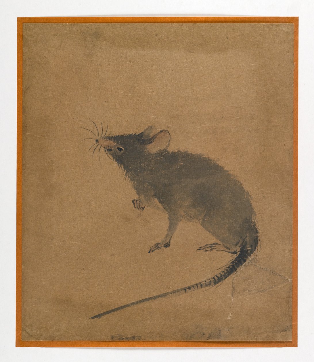 Maus von Japanese School
