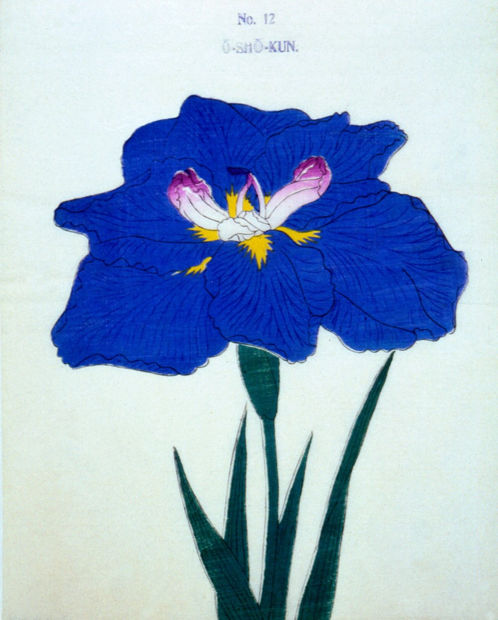 O-Sho-Kun, Nr. 12, 1898 von Japanese School