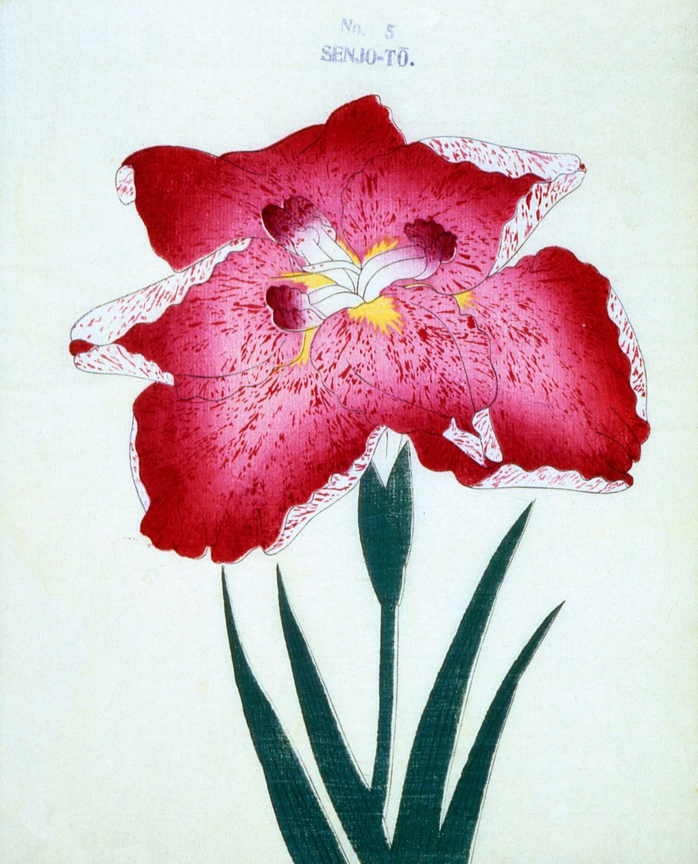 Senjo-To, Nr. 5, 1898 von Japanese School
