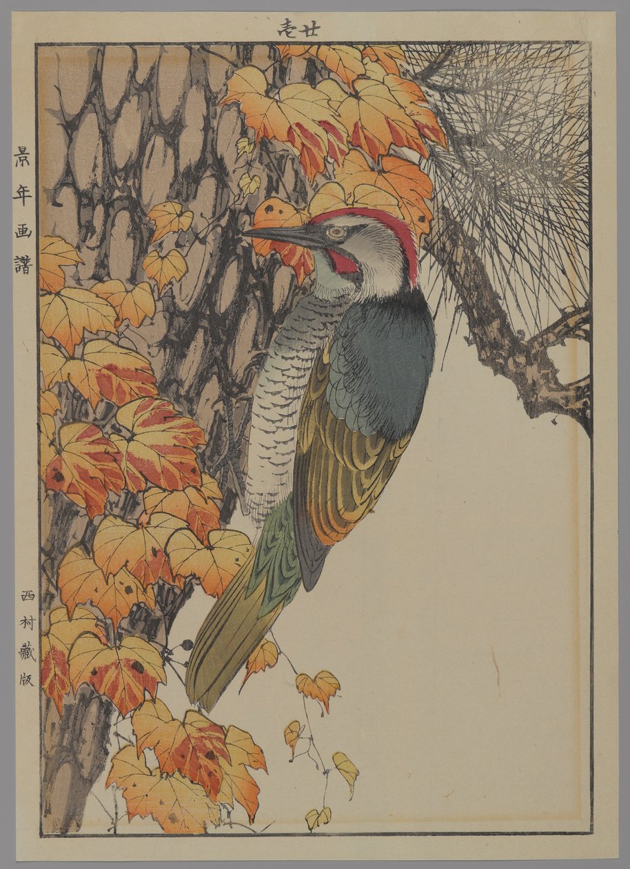 Specht, 1892 von Japanese School