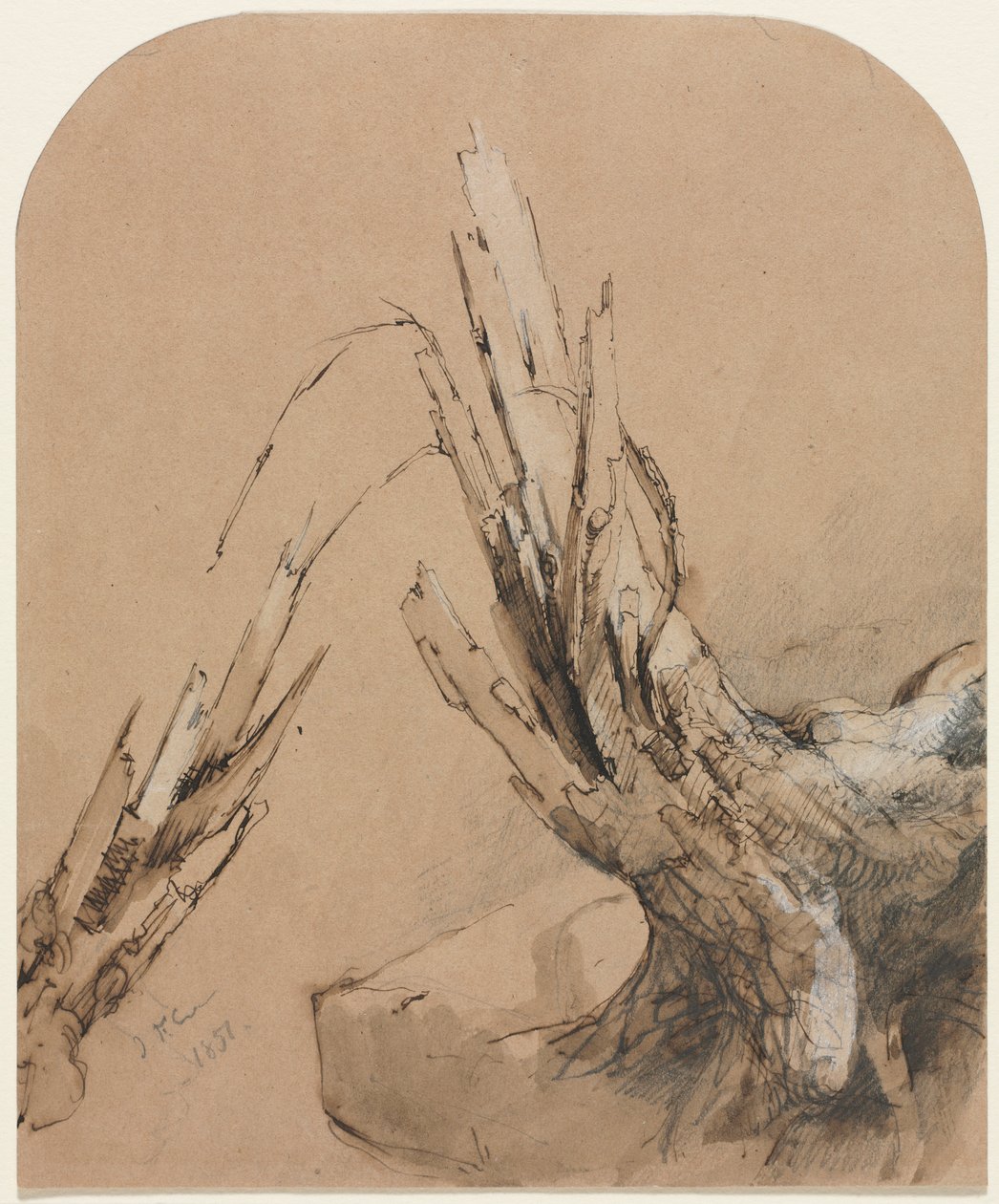 Ein abgestorbener Baum, 1851 von Jasper Francis Cropsey