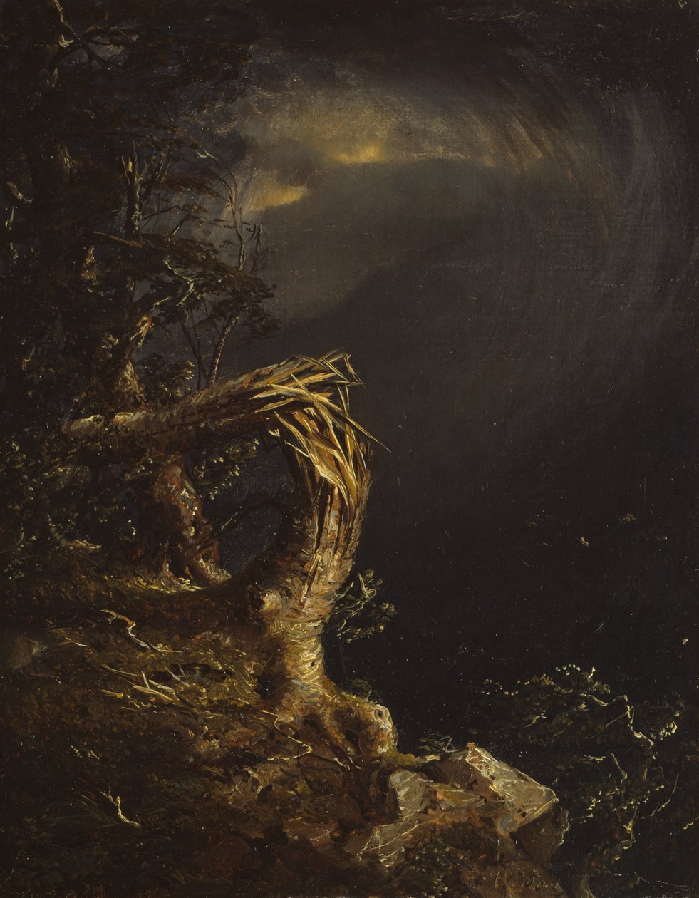 Zerbrochener Baum von Jasper Francis Cropsey