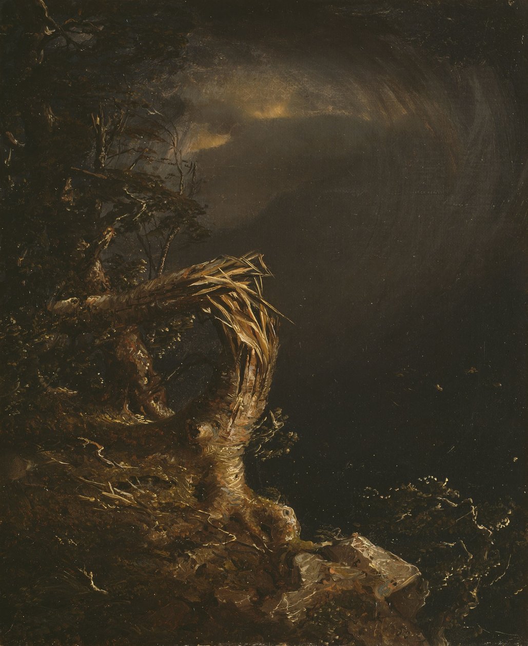 Zerbrochener Baum von Jasper Francis Cropsey