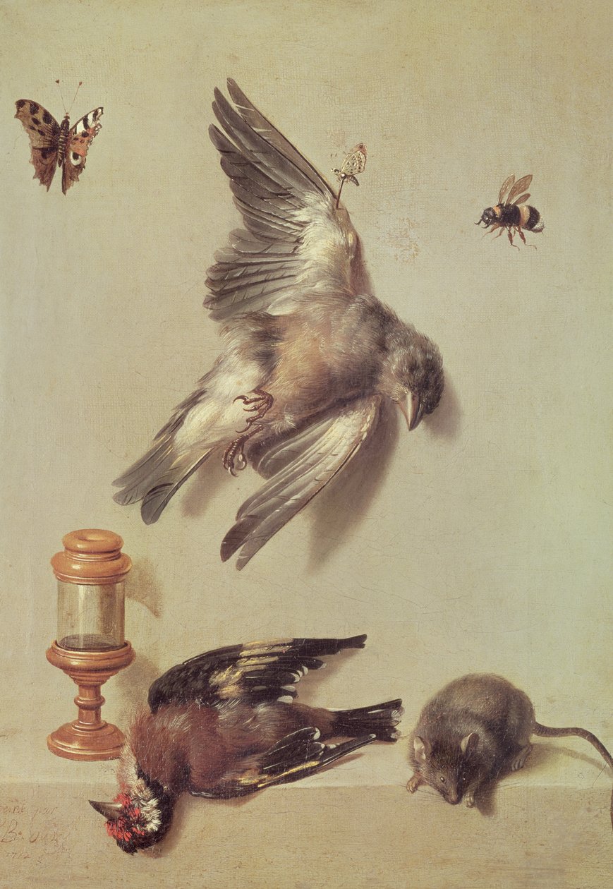 Stillleben mit toten Vögeln und einer Maus, 1712 von Jean Baptiste Oudry