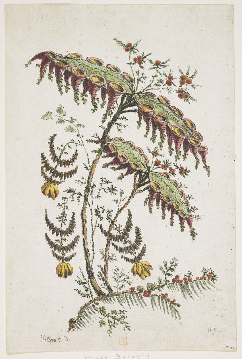 Blumentafel. Chinoiserie. von Jean Baptiste Pillement